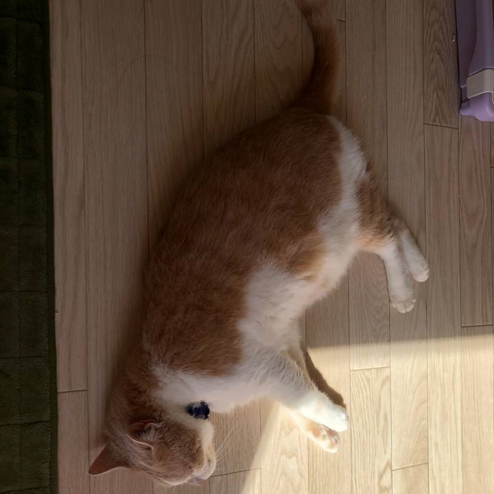 Dc81ef91 c766 4a4e 91e2 f19f998bd6a7 1535242527569