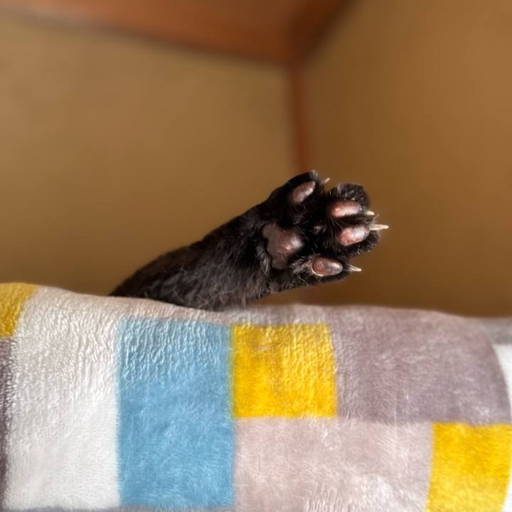 Dc81f453 bbf6 4cc4 b17d 01421ea9e7ff 1690502837103