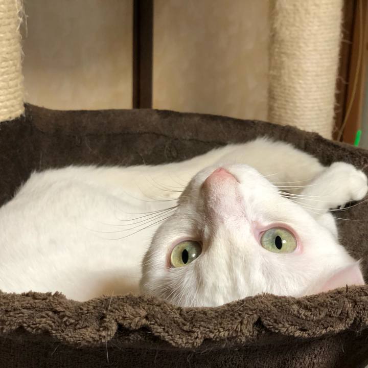 Dc8208ff 05c6 47ac b13e ce3a2f239bf8 1536300673741