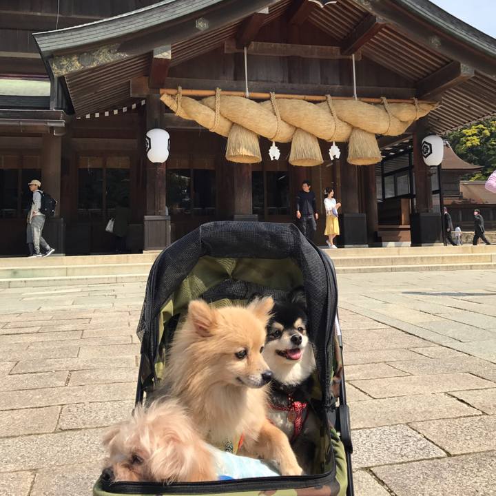 Dc820cb2 150a 4be9 8319 5a94300f5e7f 1564502993388