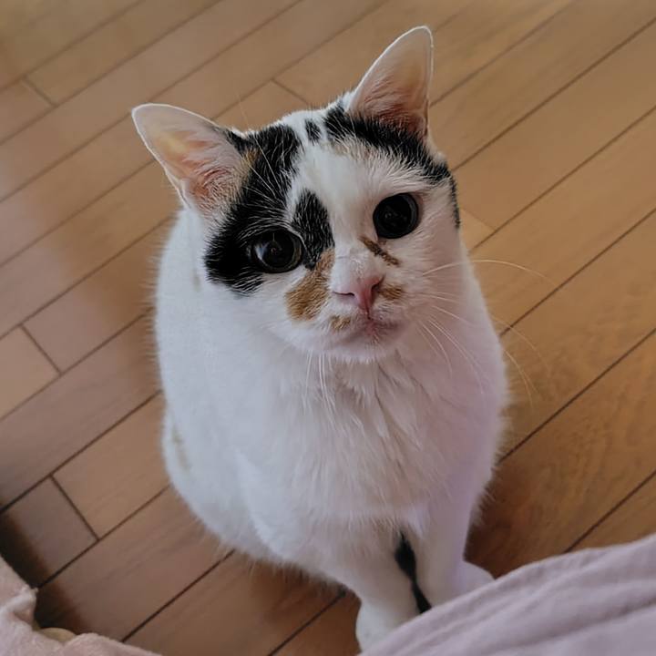 Dc820ef4 4dff 480b 88c0 2b2a9c6f9781 1752240230652