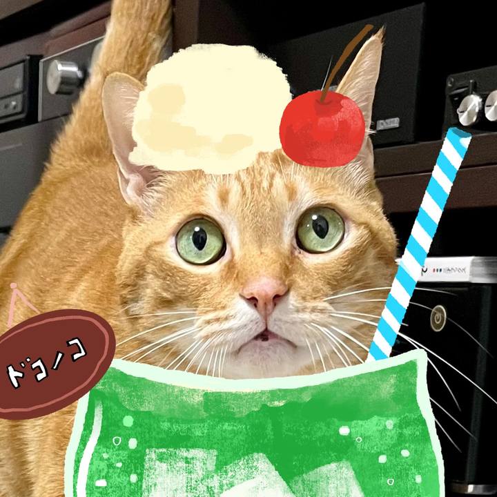 Dc8255d6 5350 4c54 823b d1263ac7b81a 1755125776433