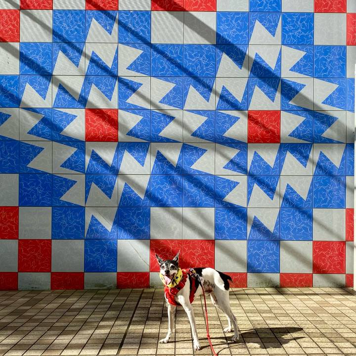 Dc82d72b 2056 4fb5 9047 639598494c1c 1626915940852