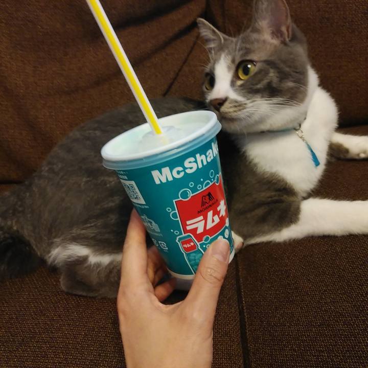 Dc82e334 ceb0 4008 a045 5bb5643fe386 1590471849836