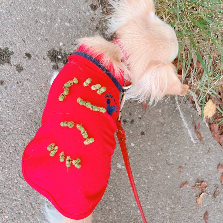 Dc82ea60 c88b 4173 a989 080c6207727a 1665573312590