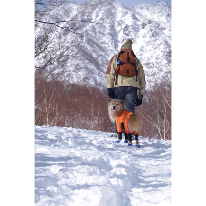 Dc831e76 2e81 49b1 a192 f9ef0e3ea81c 1547482839195