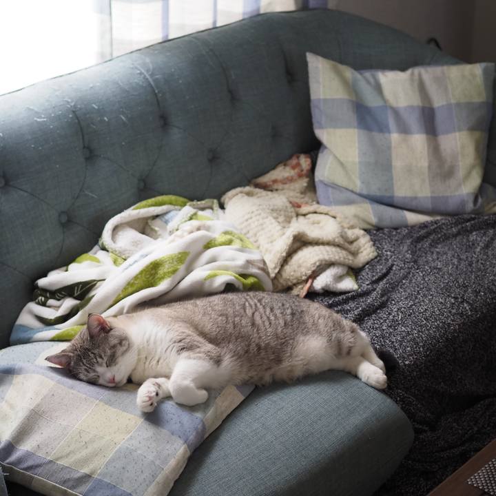 Dc8326cb 992e 468d 8452 d078a1a5e29e 1628912776205