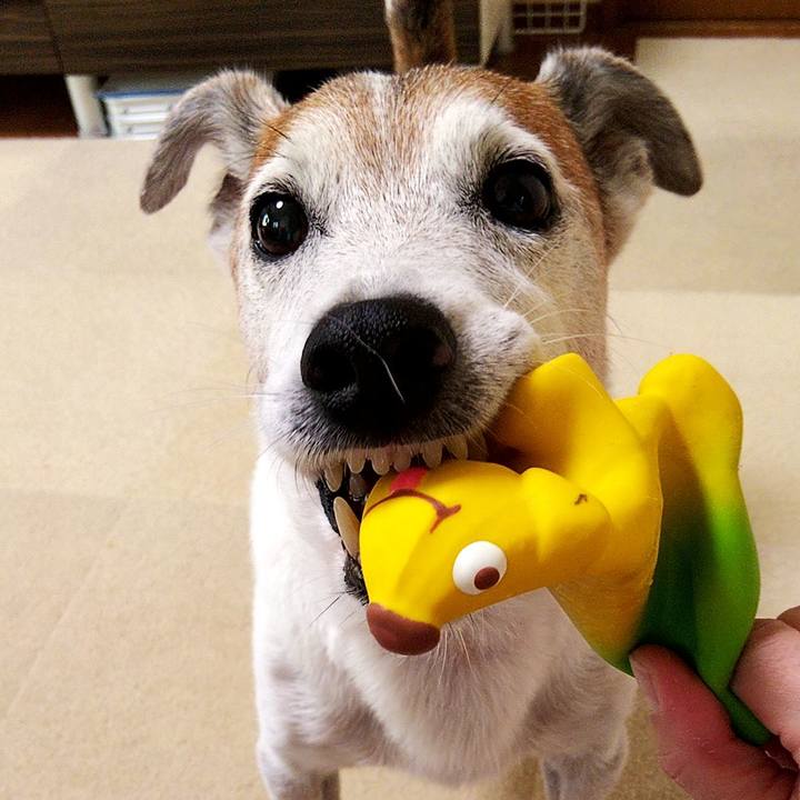 Dc832de3 9e03 40c7 b7bd 6213031199c0 1597447691089