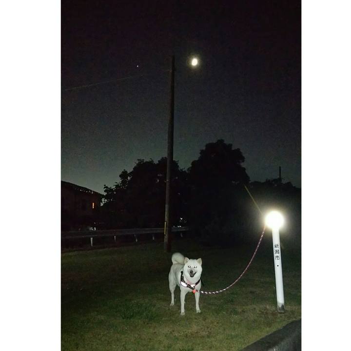 Dc836dca 3c15 458a 84d0 393921ded2a9 1532090214221