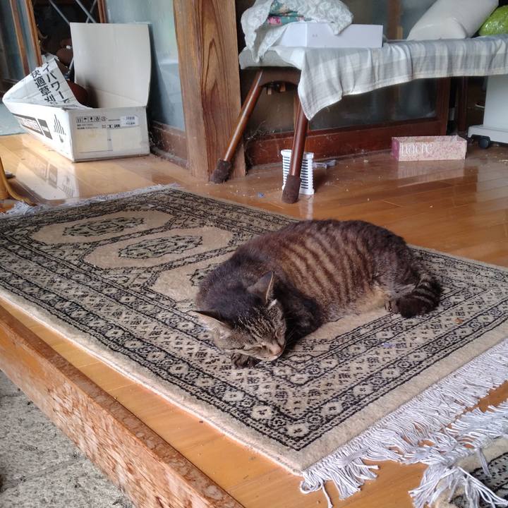 Dc838561 76b1 45ee 8559 4cc582b4f29b 1752574021714