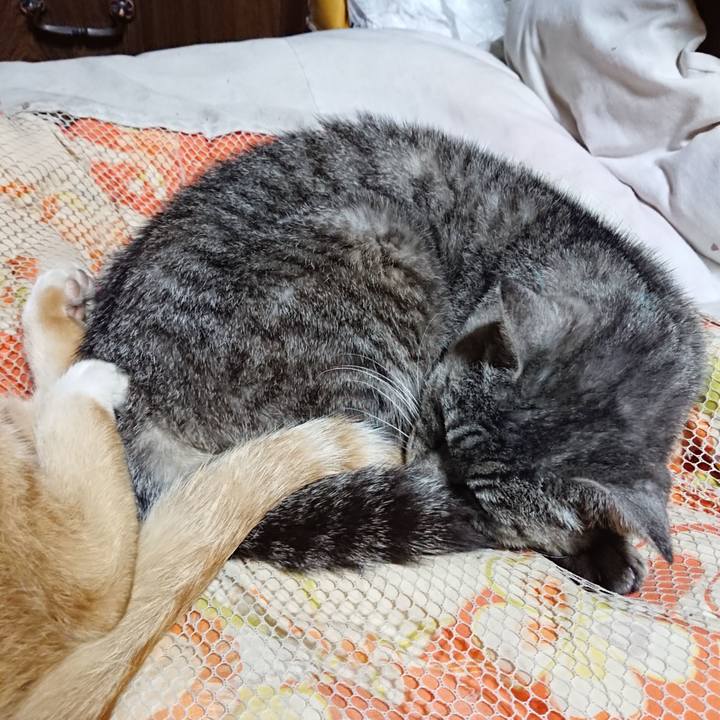 Dc83bbb5 b38e 4344 ba96 464579db8987 1571496025891