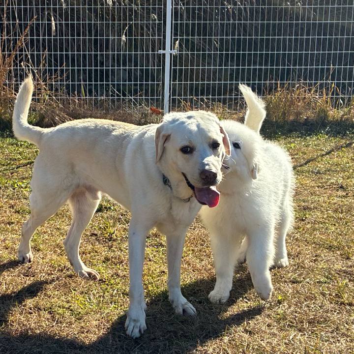 Dc83c2eb 9423 4d1d 907a da25112c5c56 1763887428189