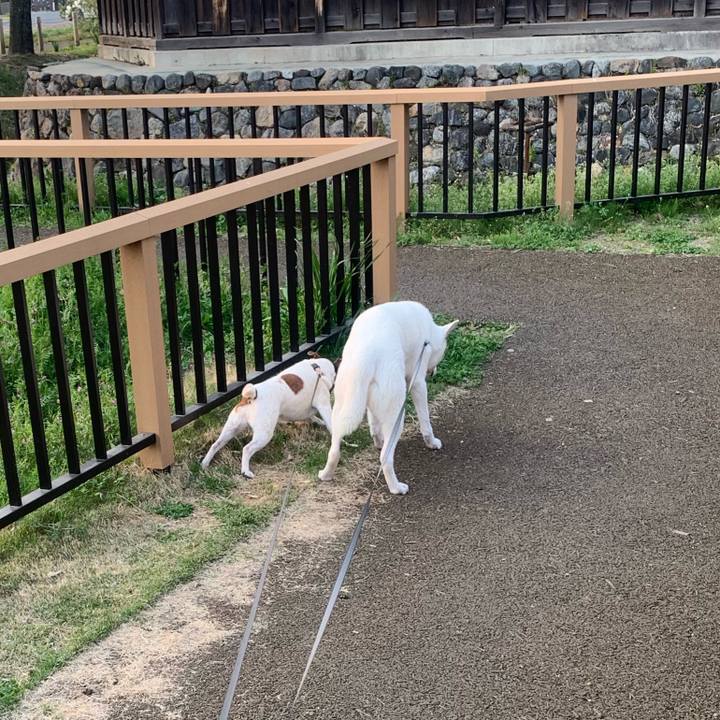 Dc846aba 5a00 4a67 9801 9daa794050ea 1554636852489