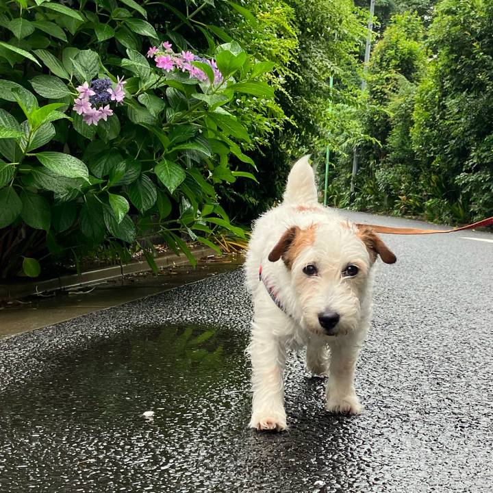 Dc848132 f1b0 46fe b724 f7739667bc73 1686527608041