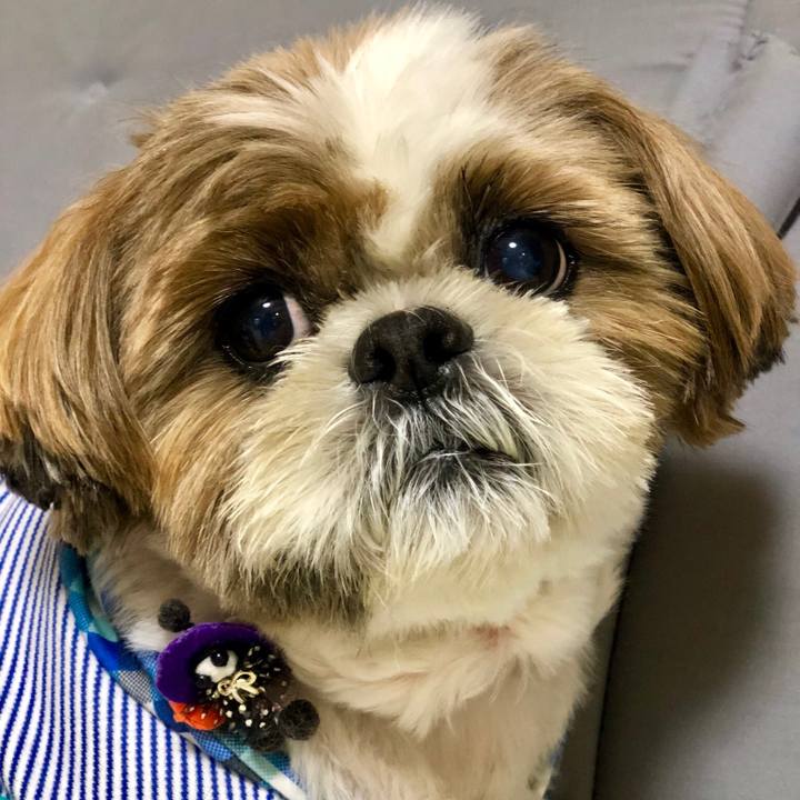 Dc8483d8 659d 443c b3c8 afd2baf310f4 1538737955359