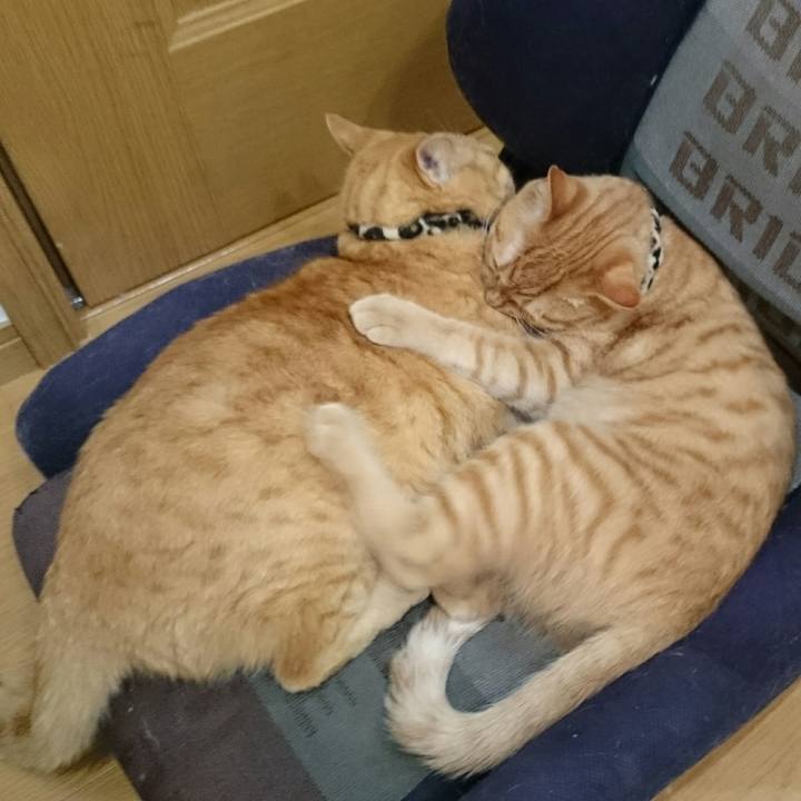 Dc849817 50a8 4d2a a827 65e45224c552 1552185951275