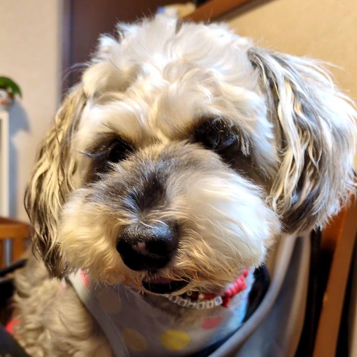 Dc84ad6b 53cd 4f07 83f8 d77115f772c0 1753710766809