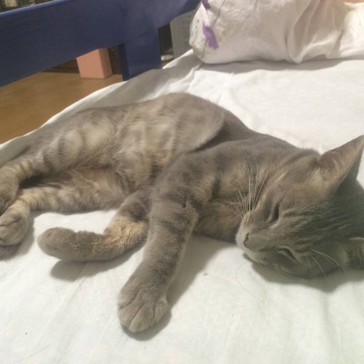 Dc84b0df 90aa 4e31 85d0 6f55d4f4e89d 1531924342004