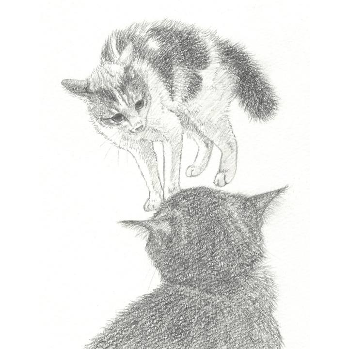 Dc84ccfd acb5 4038 b1c6 fea2c217a16a 1551880550736