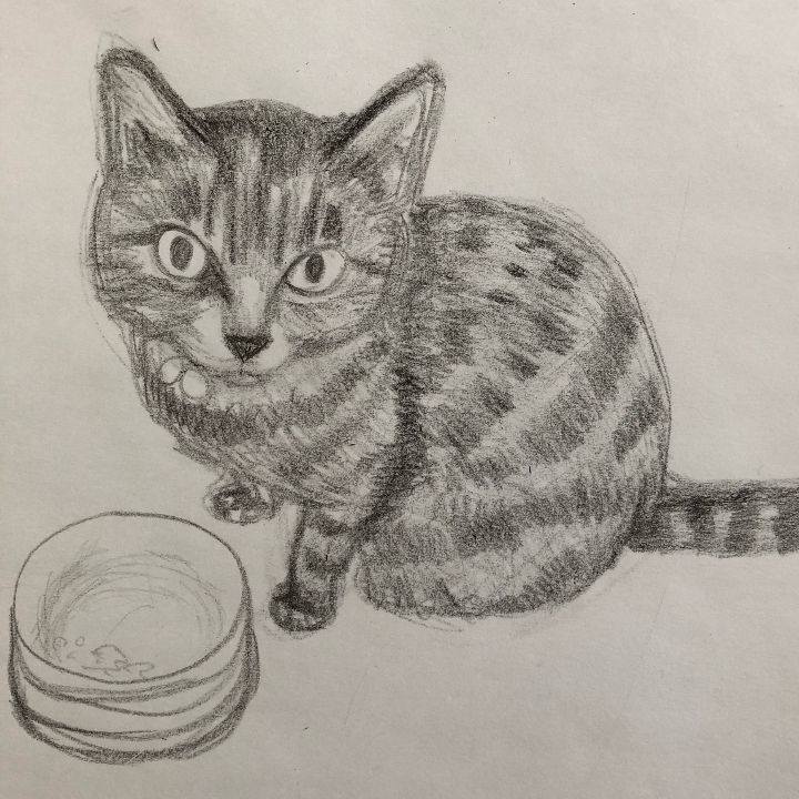 Dc84e68a c7e3 4117 bc3f abc3469eed71 1630530436236