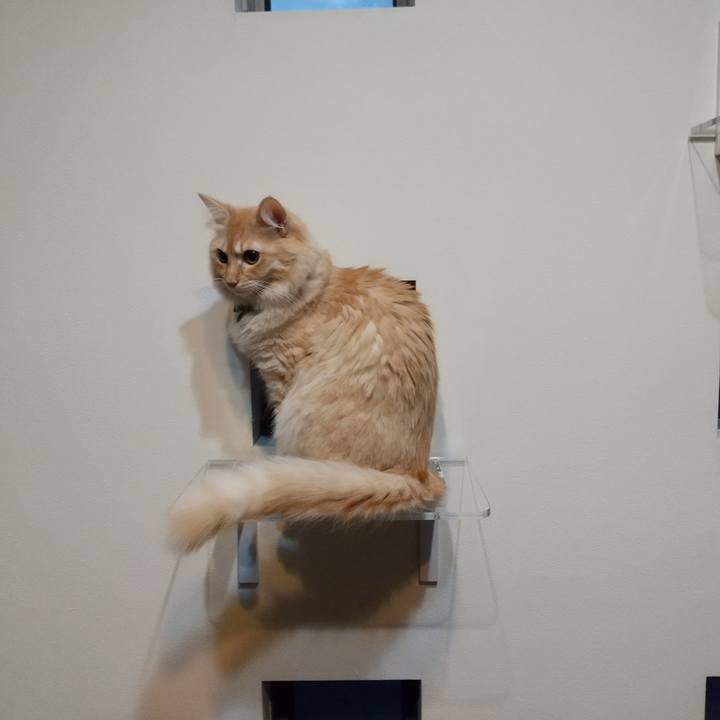 Dc85707b 0689 443f a34f 5806994f156b 1635802950523