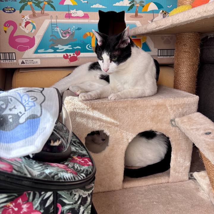 Dc857977 5dbc 403b a090 ed45efee19a0 1766887437832