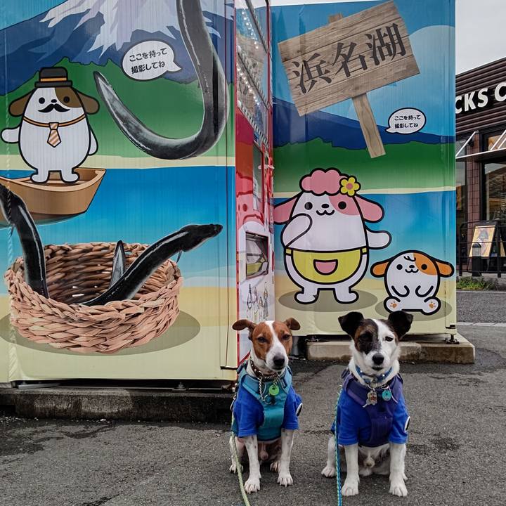 Dc862521 08ba 4ed3 a858 696762597246 1663832569784