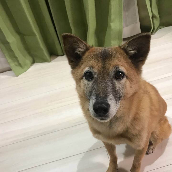 Dc862ba3 a7aa 4db3 bf0f b1239770dbac 1546260745209