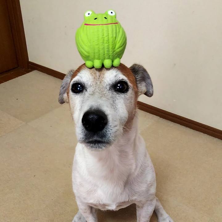 Dc86363e 8a9f 40d8 9b40 7184e70ecf4f 1544945724497