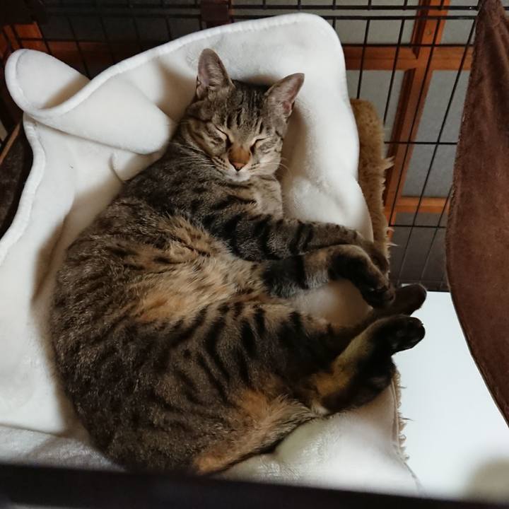 Dc86598f b274 434a 9edb bb56d57247fb 1620128438171