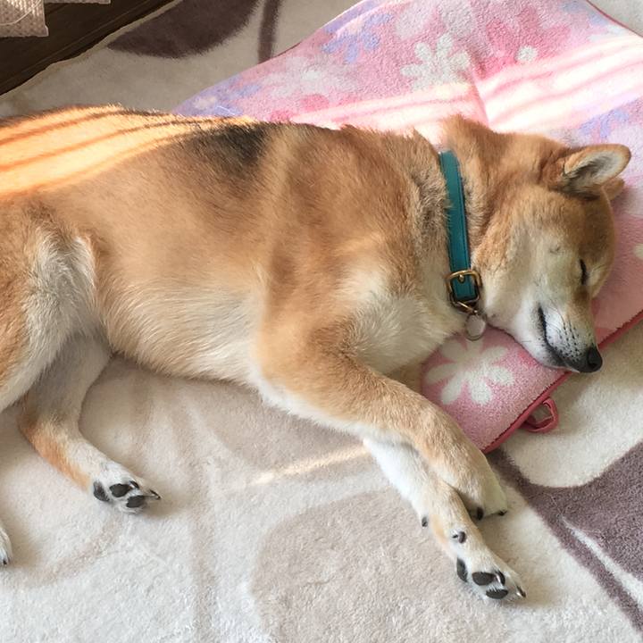 Dc8691b2 9d73 4f0f 9994 ca3353e89f14 1573108178889