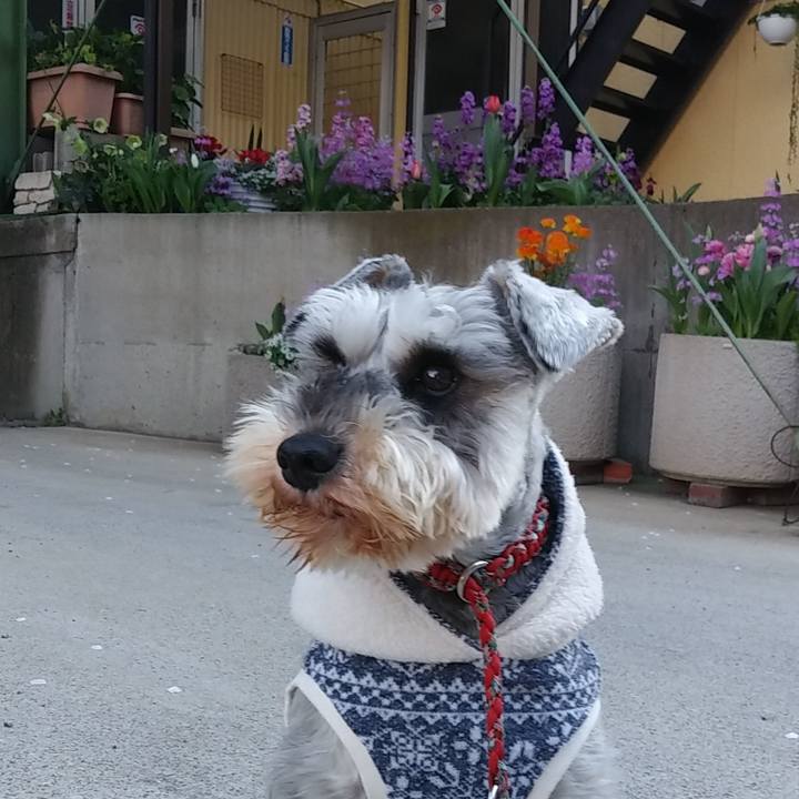 Dc86bdca 7dec 4542 a135 10b7eeef0e0c 1585006356707