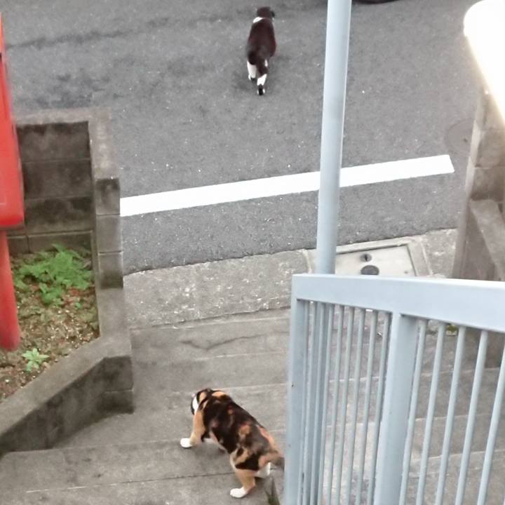 Dc86dad4 c8ba 441a 89ca 7c2486982263 1633576127716