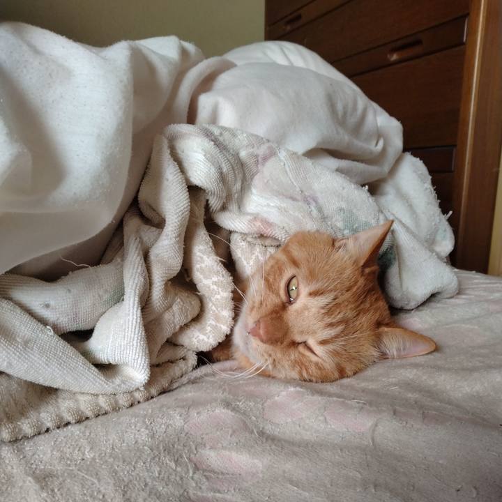 Dc86fca8 8025 4a6a be81 662104fa6c56 1767761795503