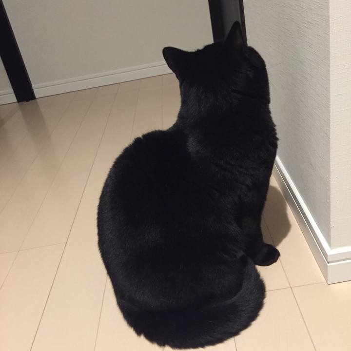 Dc870da0 22b5 43dc a05c f9854151a427 1515325733484