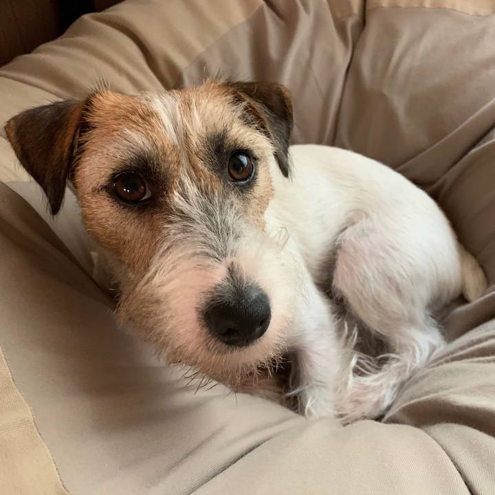 Dc8718ca 0ce4 45df 8f5b cb54b84070ec 1597993516528