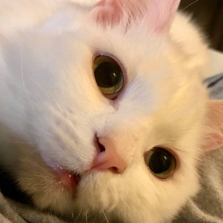 Dc8740f8 3078 4c02 b449 1d6f5e04df3d 1549283654856