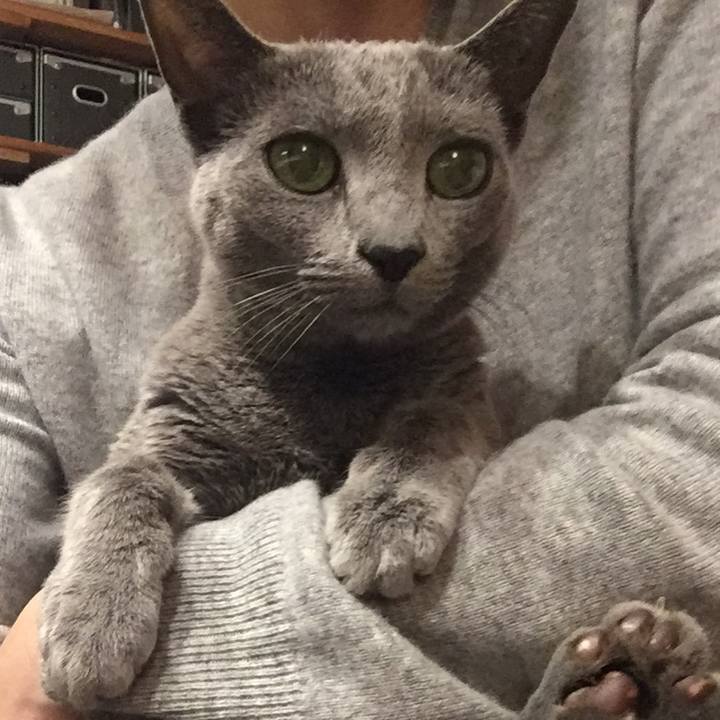 Dc875bbf 31cd 4782 8b27 d73744164d19 1514281362495