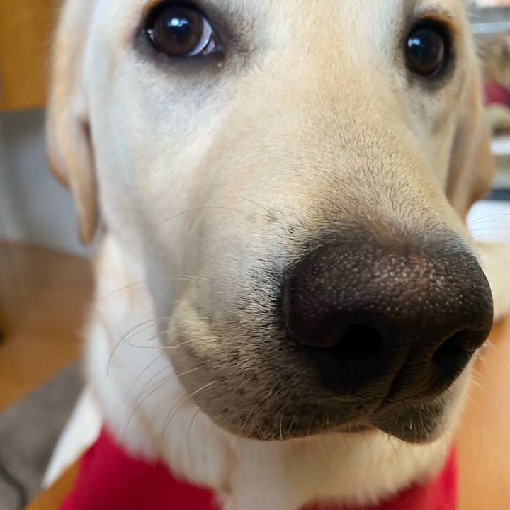 Dc875de7 c130 4f1f b658 ccd35871ce2f 1618479122101