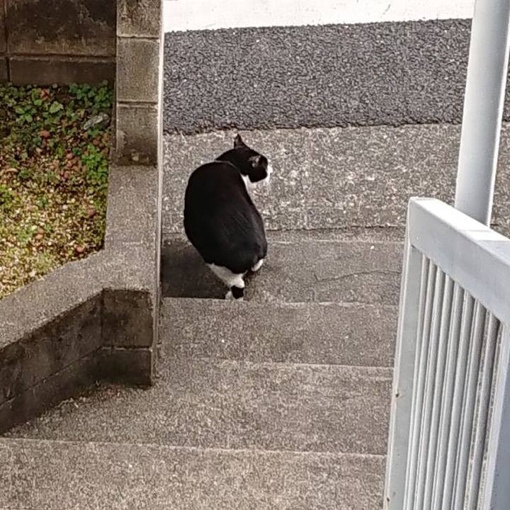 Dc875f0f 8919 4df9 a322 6679cf5e24ff 1643506184374