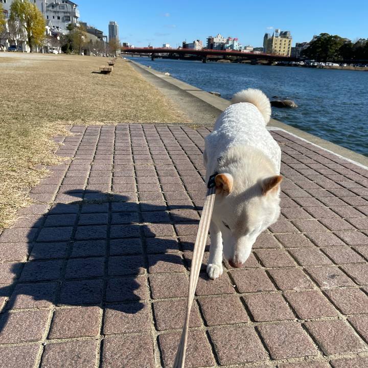 Dc879a96 b12d 4239 9660 c0fc689237c8 1640575978108