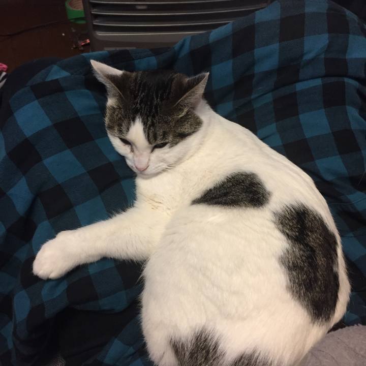 Dc87a2a7 c04a 447f 84f8 8c7b01411926 1546920445000