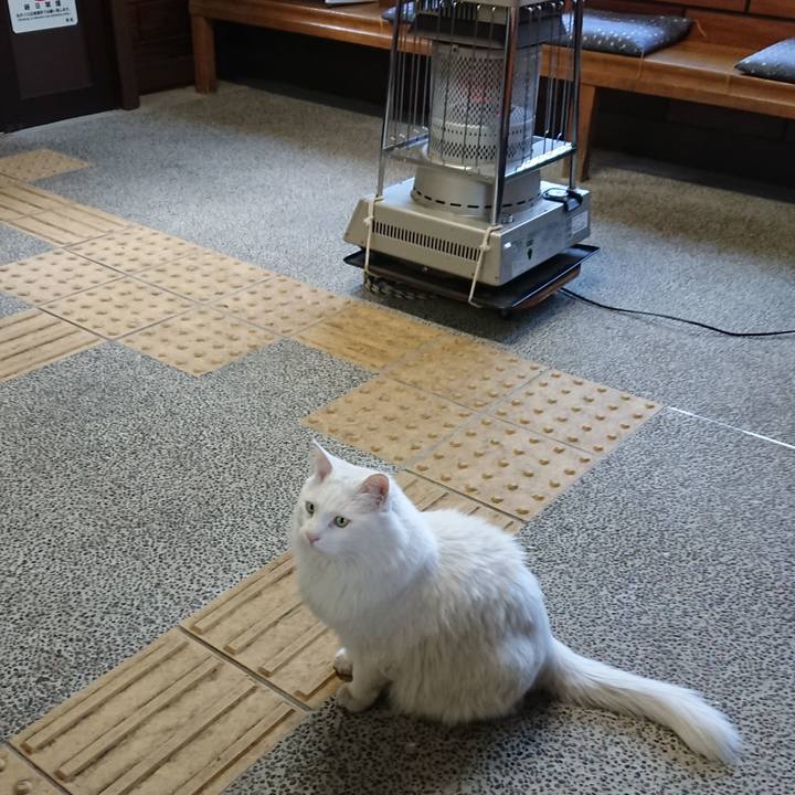 Dc87d204 42a7 4afc bee6 ba0b33630736 1552947684767