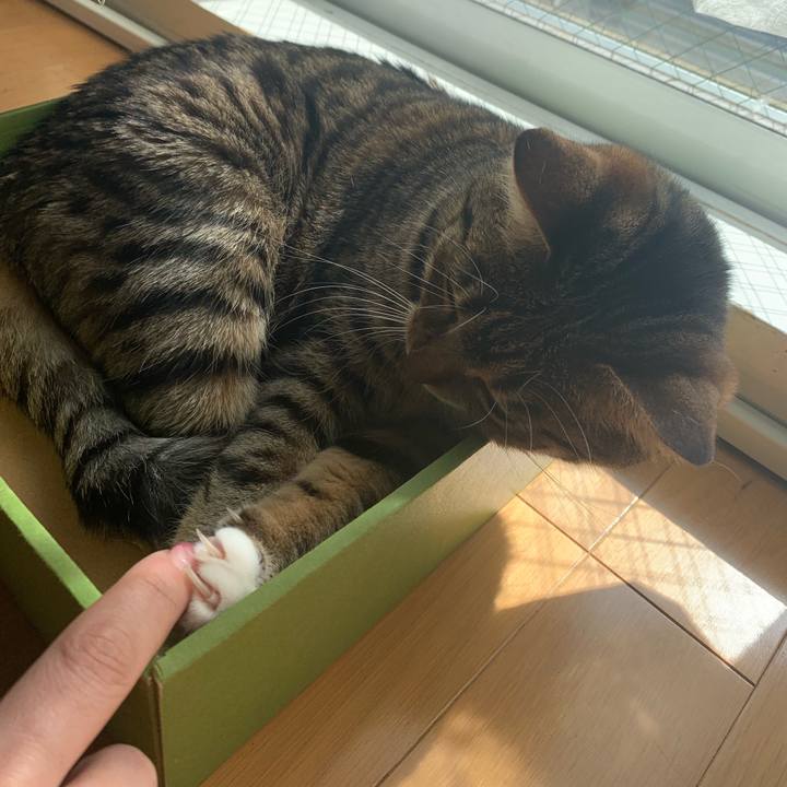 Dc87f444 5761 4090 8e2d 45cecba3e98f 1555336699722