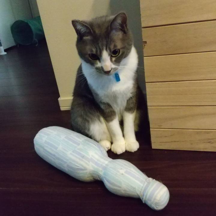 Dc887085 a468 4304 8772 02fb5fa78f1a 1617745156319