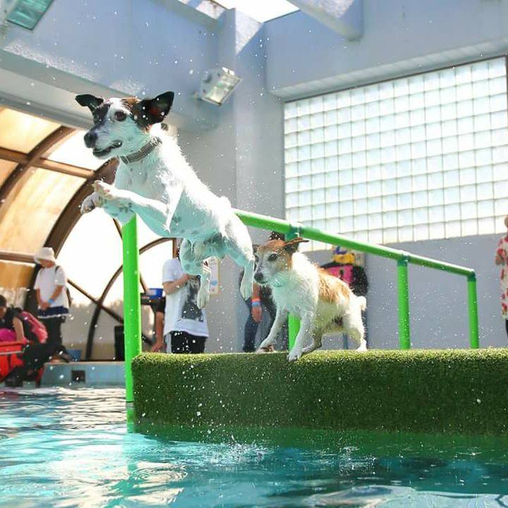 Dc88beb9 33c0 49a9 8fac 388ff2b87e64 1537359803145