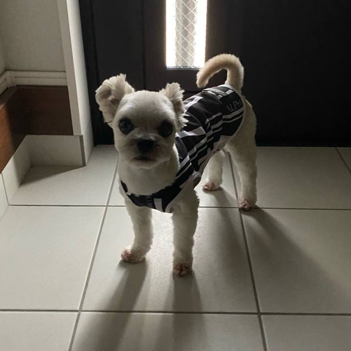 Dc88d57d 7344 42cf 900d 60b83daf860a 1662417604590