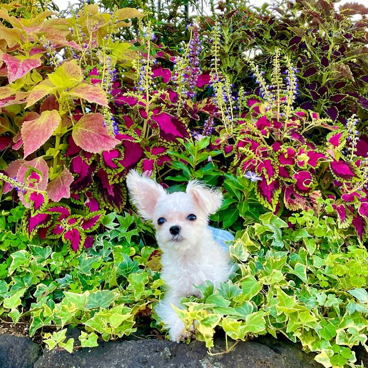 Dc890894 cffa 40b9 a9c2 551a60259739 1632194893182