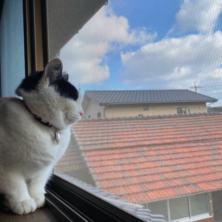 Dc89439c 5eff 4ff3 bd69 c98018e3e325 1644134665152