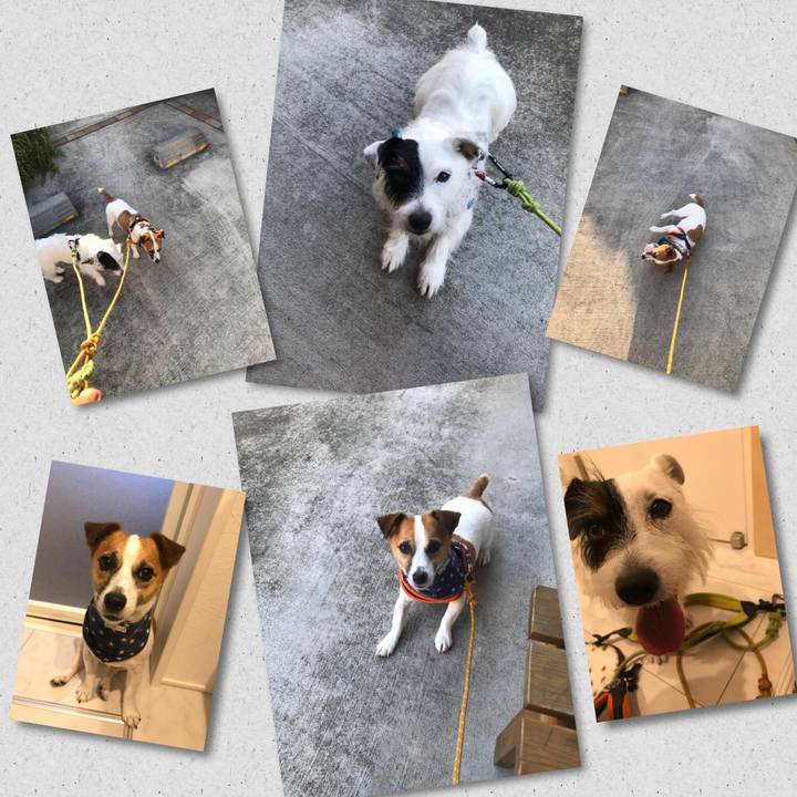 Dc894855 4a38 4dd9 a73c c781bee8045d 1532078273459